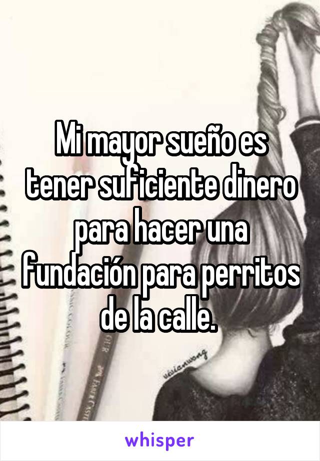 Mi mayor sueño es tener suficiente dinero para hacer una fundación para perritos de la calle. 