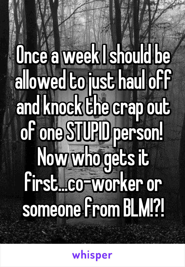 Once a week I should be allowed to just haul off and knock the crap out of one STUPID person! 
Now who gets it first...co-worker or someone from BLM!?!