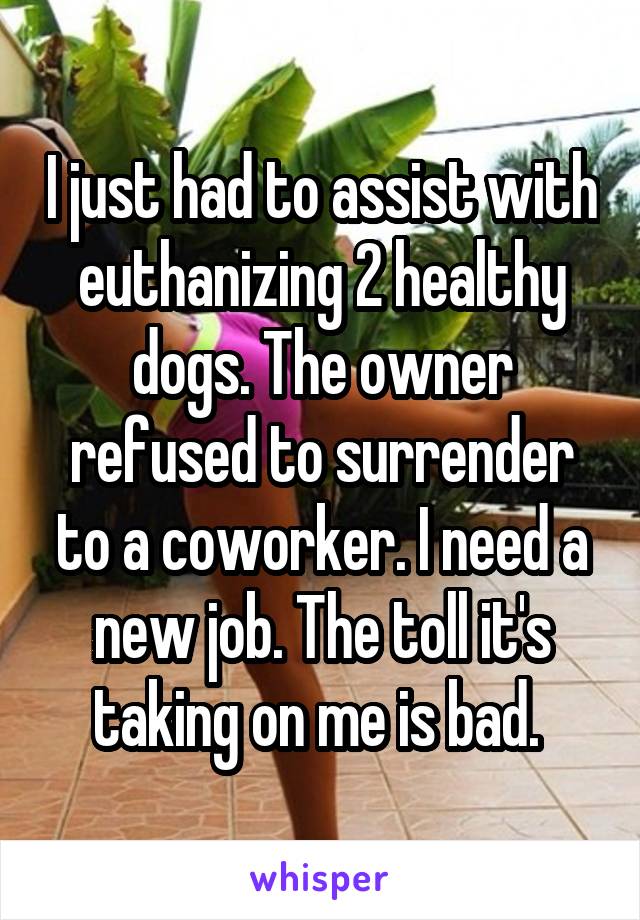 I just had to assist with euthanizing 2 healthy dogs. The owner refused to surrender to a coworker. I need a new job. The toll it's taking on me is bad. 