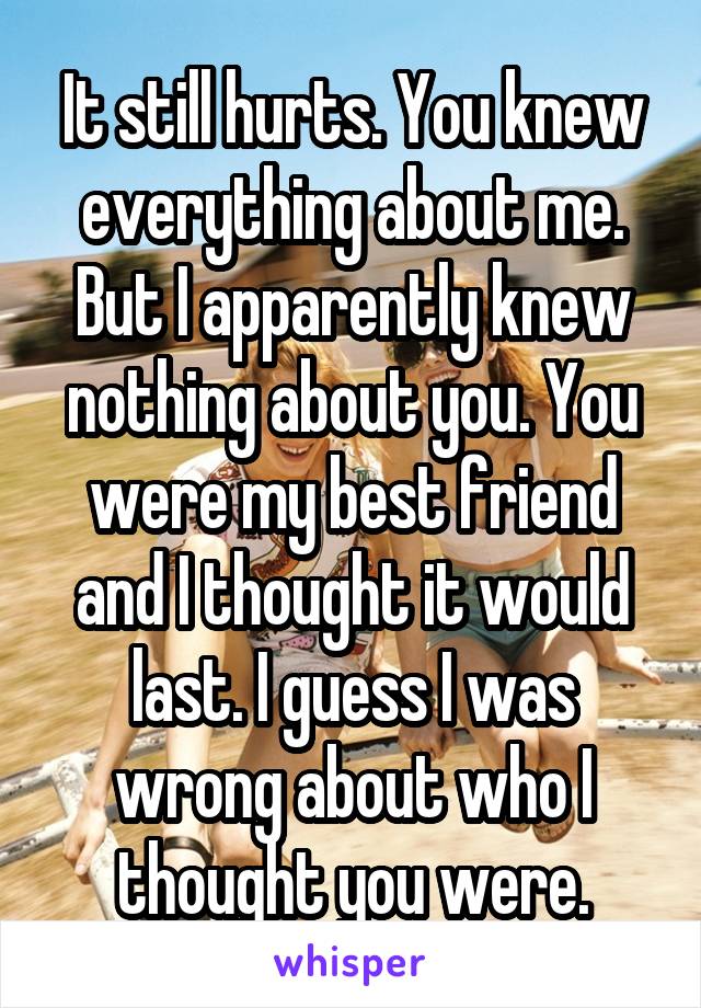 It still hurts. You knew everything about me. But I apparently knew nothing about you. You were my best friend and I thought it would last. I guess I was wrong about who I thought you were.