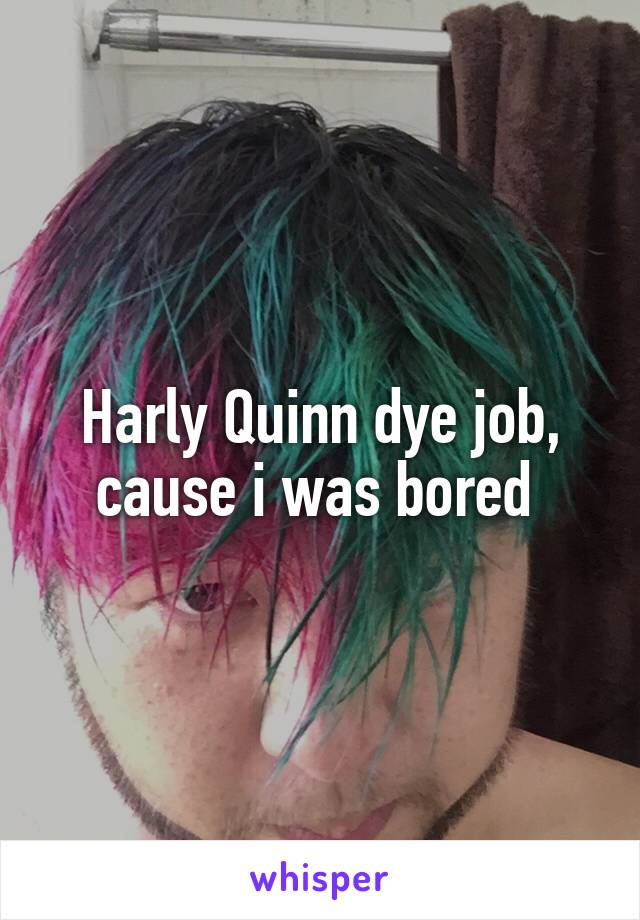 Harly Quinn dye job, cause i was bored 