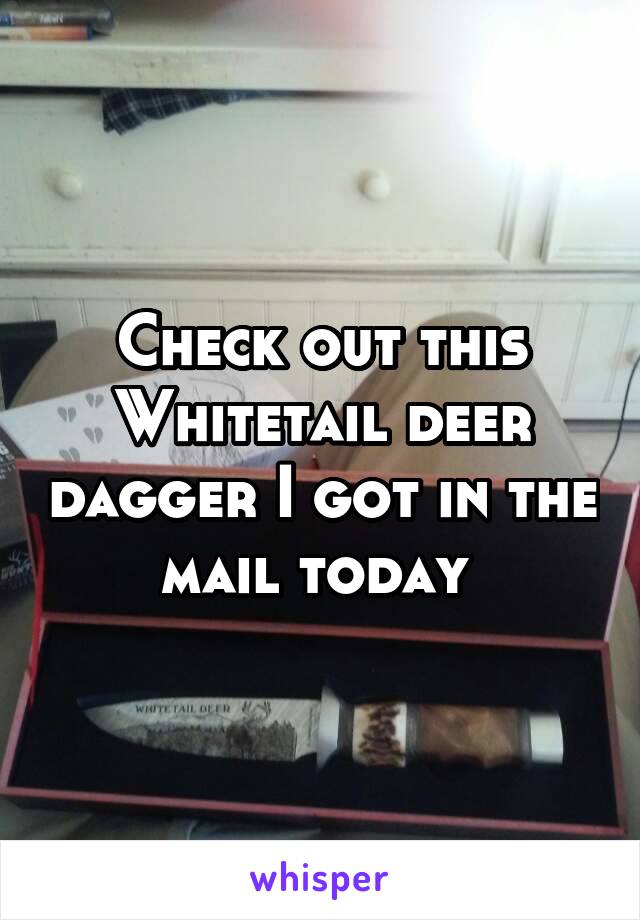 Check out this Whitetail deer dagger I got in the mail today 