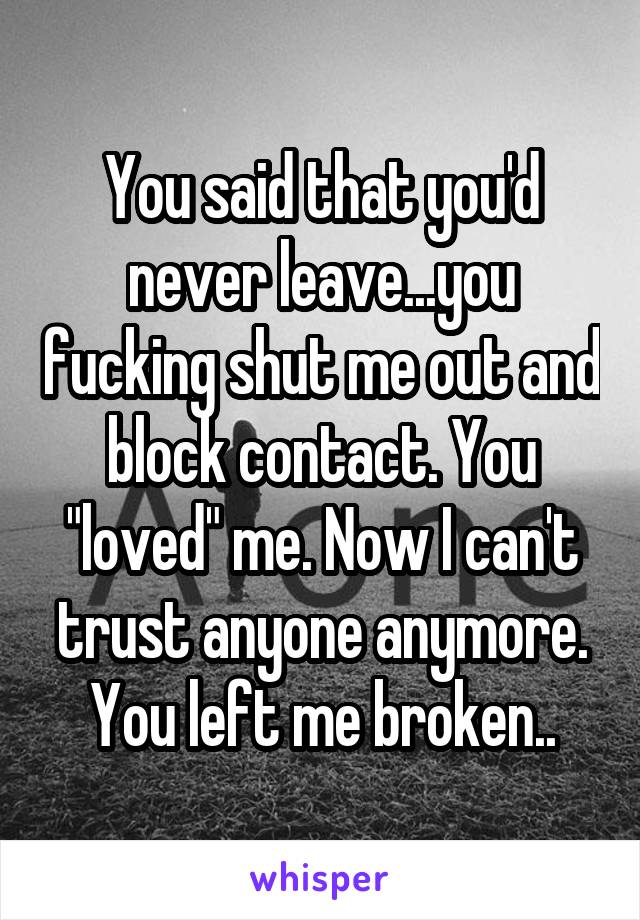 You said that you'd never leave...you fucking shut me out and block contact. You "loved" me. Now I can't trust anyone anymore. You left me broken..