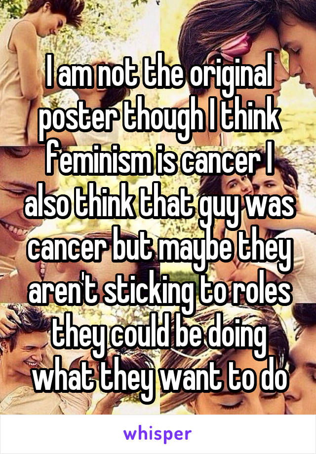 I am not the original poster though I think feminism is cancer I also think that guy was cancer but maybe they aren't sticking to roles they could be doing what they want to do
