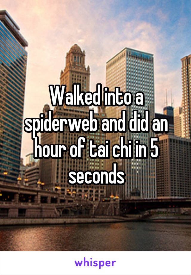 Walked into a spiderweb and did an hour of tai chi in 5 seconds