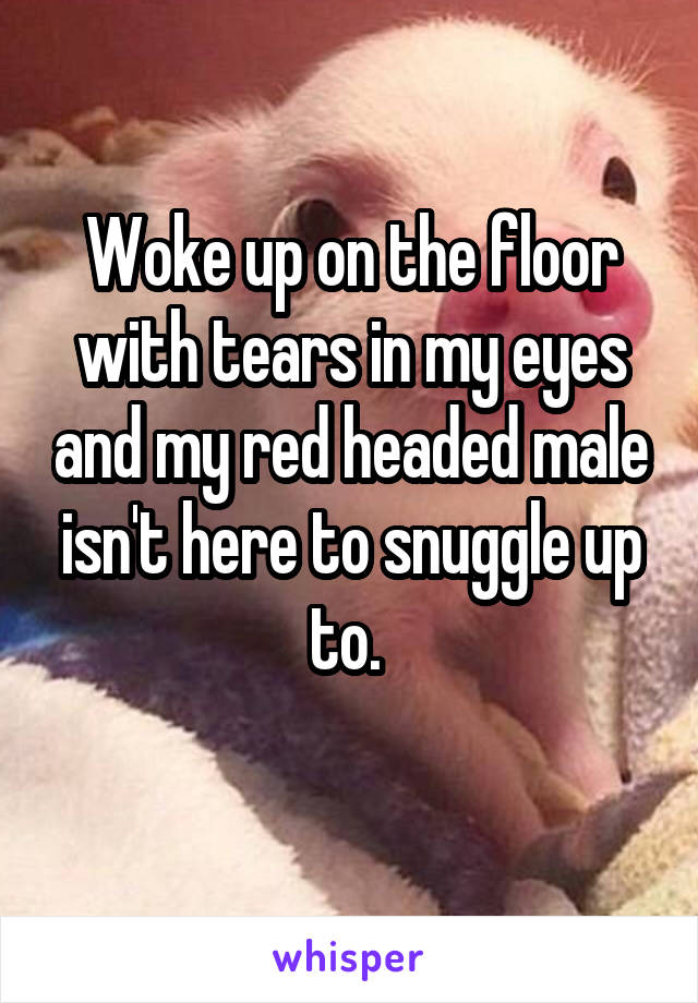 Woke up on the floor with tears in my eyes and my red headed male isn't here to snuggle up to. 
