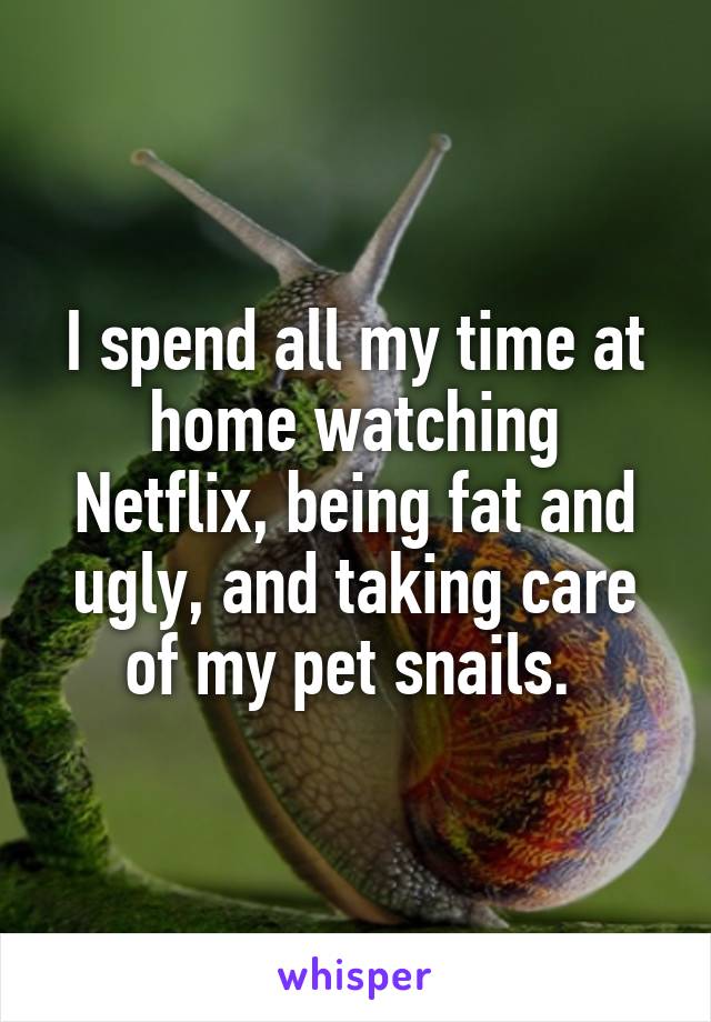 I spend all my time at home watching Netflix, being fat and ugly, and taking care of my pet snails. 