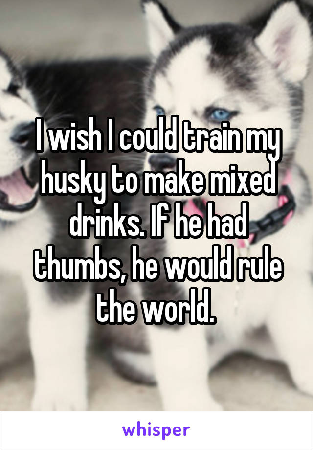 I wish I could train my husky to make mixed drinks. If he had thumbs, he would rule the world. 