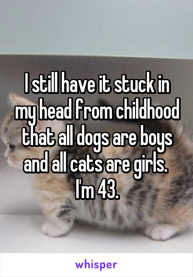 I still have it stuck in my head from childhood that all dogs are boys and all cats are girls.  I'm 43.