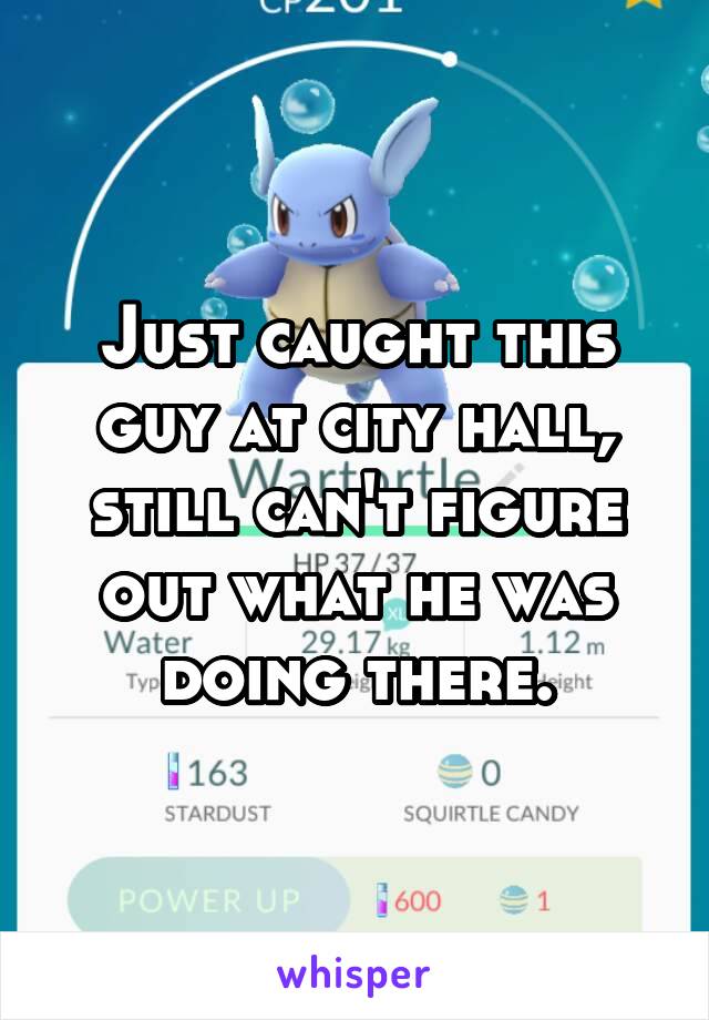 Just caught this guy at city hall, still can't figure out what he was doing there.