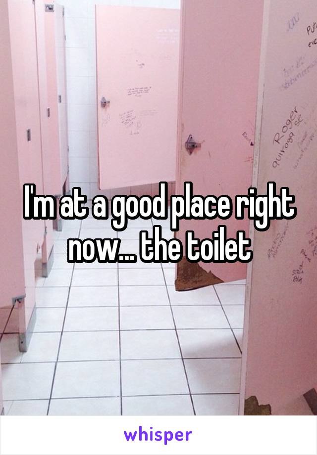 I'm at a good place right now... the toilet