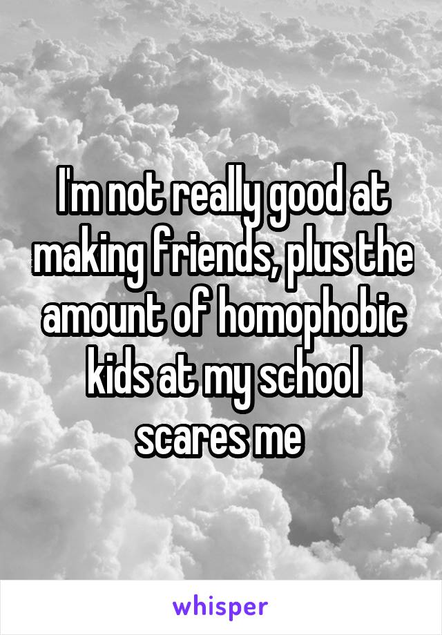 I'm not really good at making friends, plus the amount of homophobic kids at my school scares me 