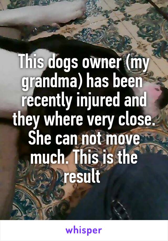 This dogs owner (my grandma) has been  recently injured and they where very close. She can not move much. This is the result 