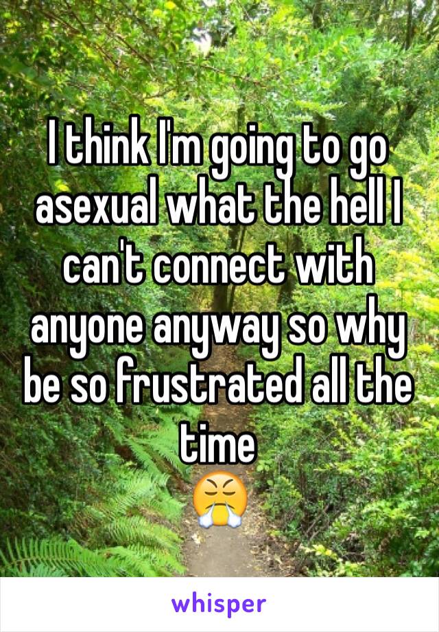 I think I'm going to go asexual what the hell I can't connect with anyone anyway so why be so frustrated all the time 
😤