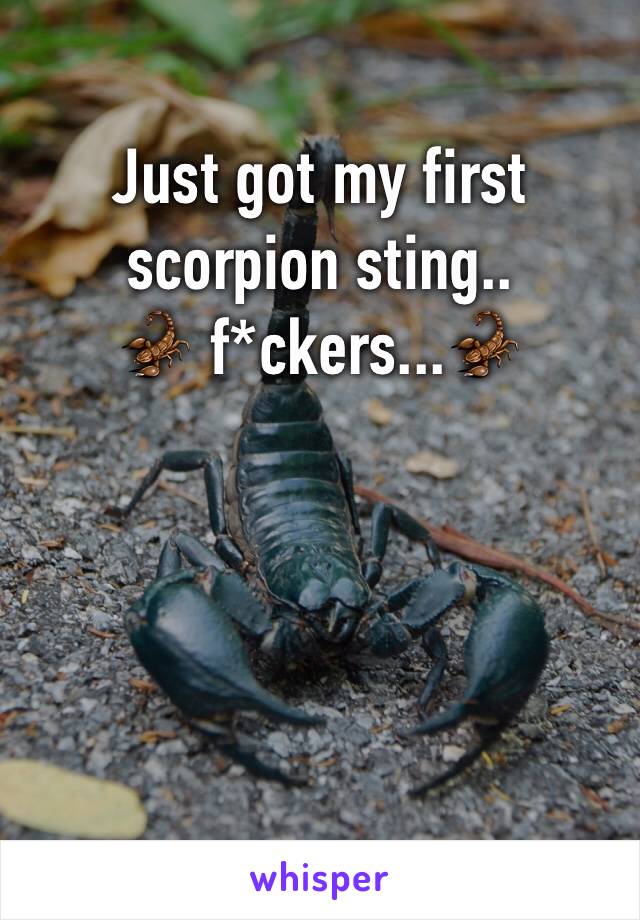 Just got my first scorpion sting.. 
🦂 f*ckers...🦂




