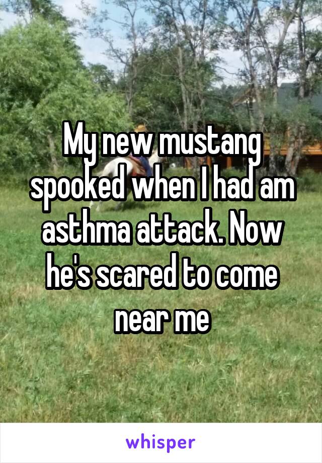 My new mustang spooked when I had am asthma attack. Now he's scared to come near me