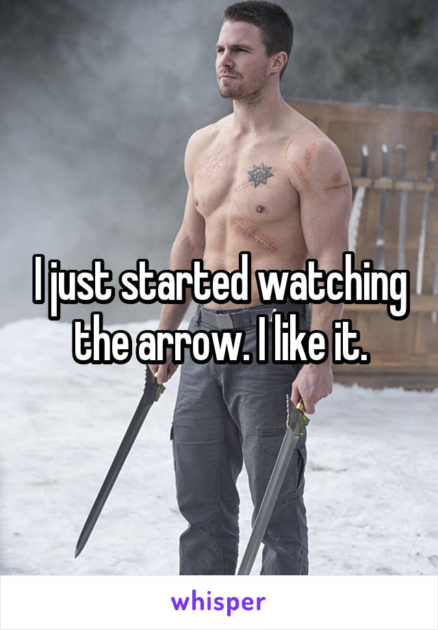 I just started watching the arrow. I like it.