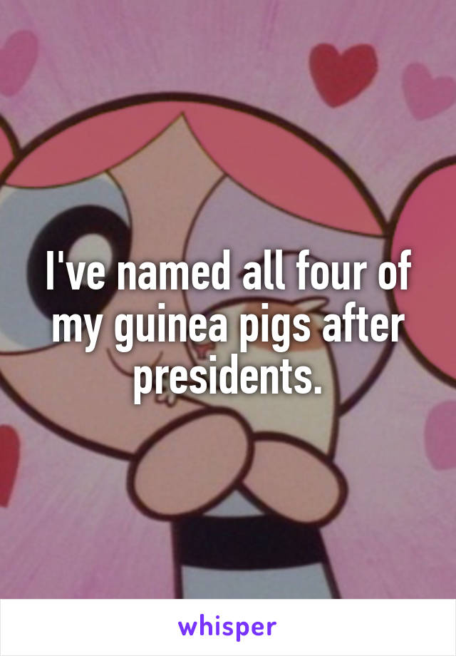 I've named all four of my guinea pigs after presidents.