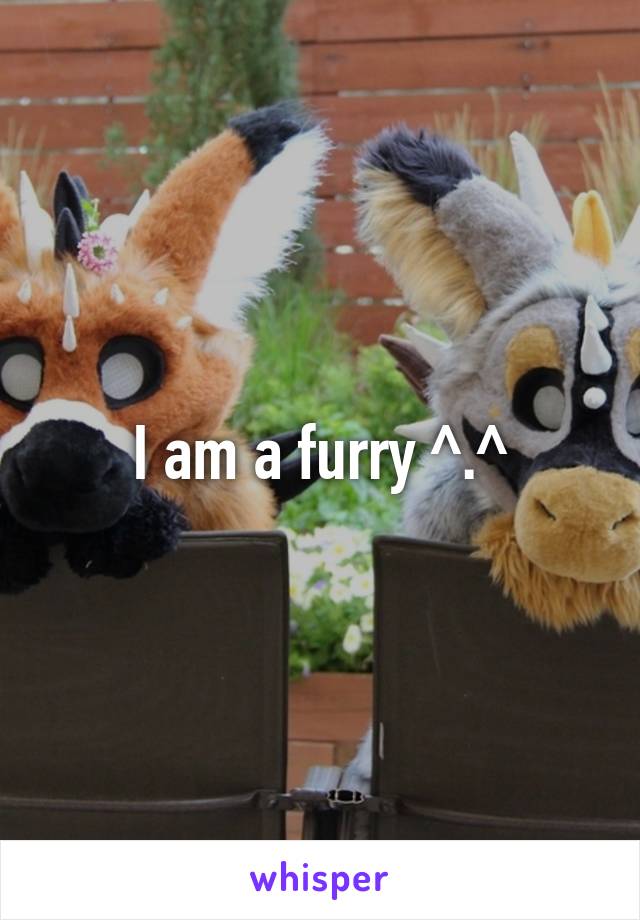 I am a furry ^.^