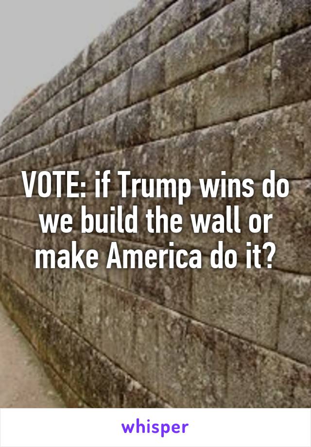 VOTE: if Trump wins do we build the wall or make America do it?