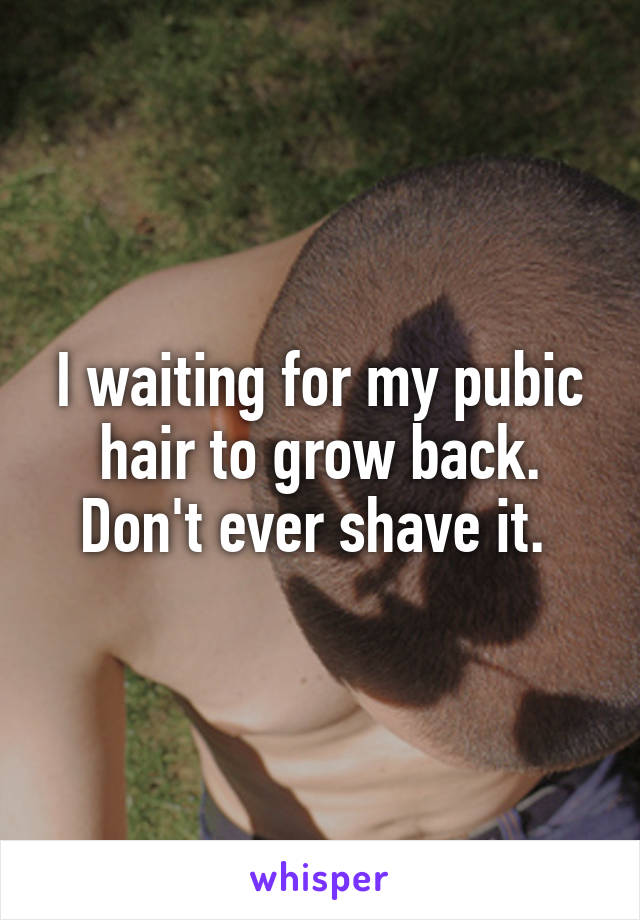 I waiting for my pubic hair to grow back. Don't ever shave it. 