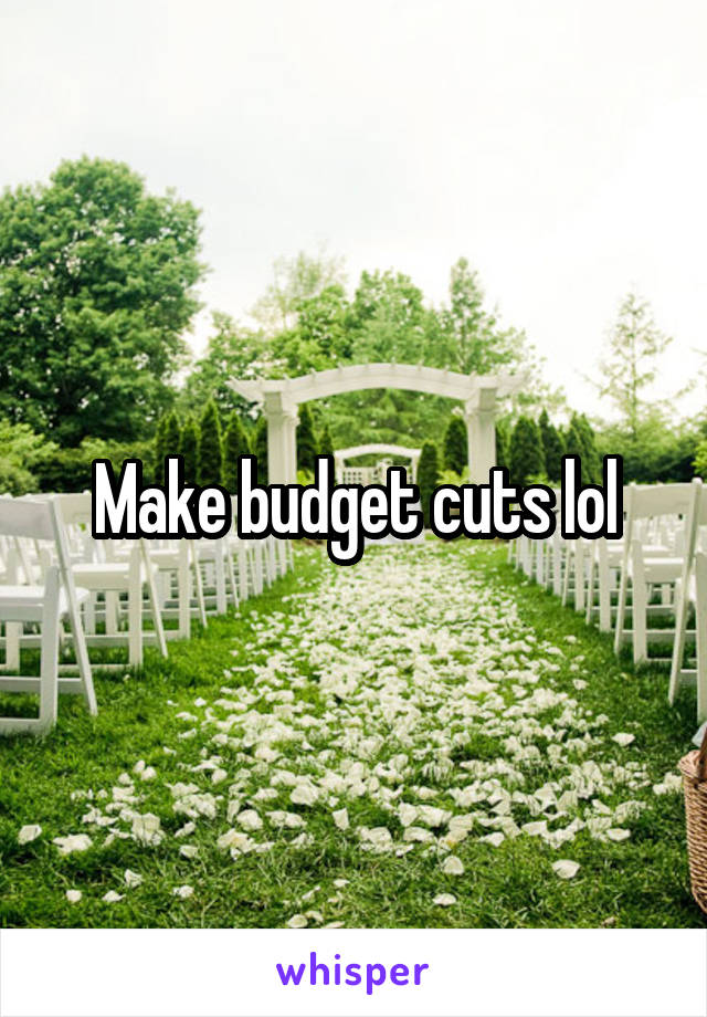 Make budget cuts lol