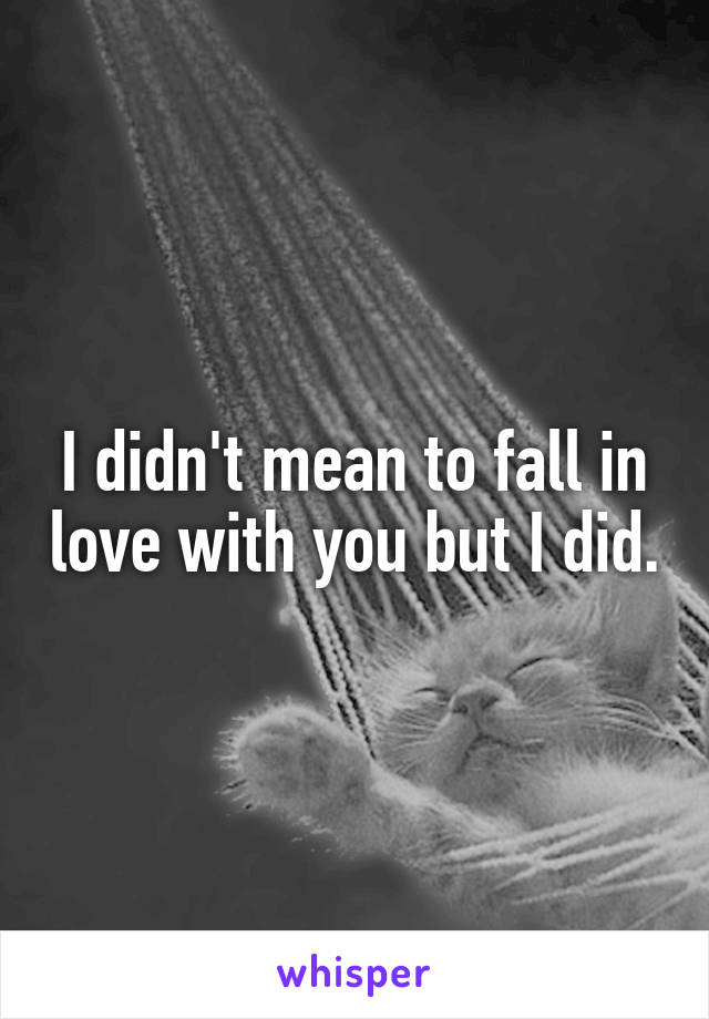 I didn't mean to fall in love with you but I did.