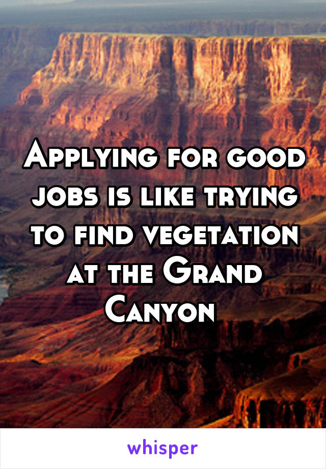 Applying for good jobs is like trying to find vegetation at the Grand Canyon 