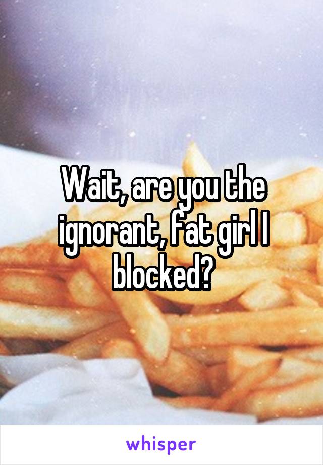 Wait, are you the ignorant, fat girl I blocked?