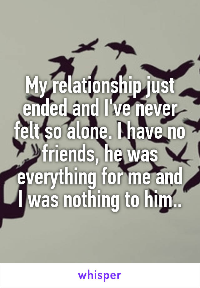 My relationship just ended and I've never felt so alone. I have no friends, he was everything for me and I was nothing to him..