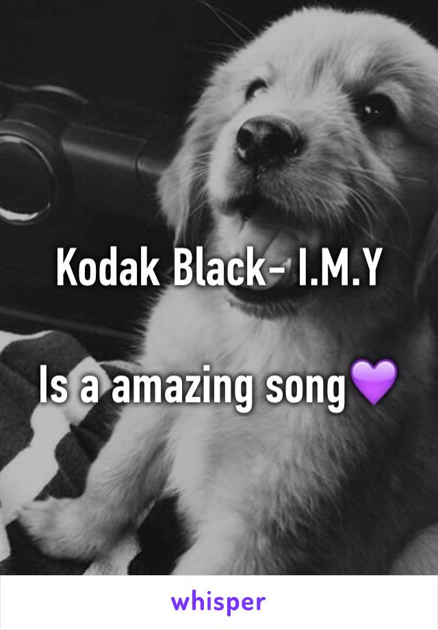 Kodak Black- I.M.Y

Is a amazing song💜