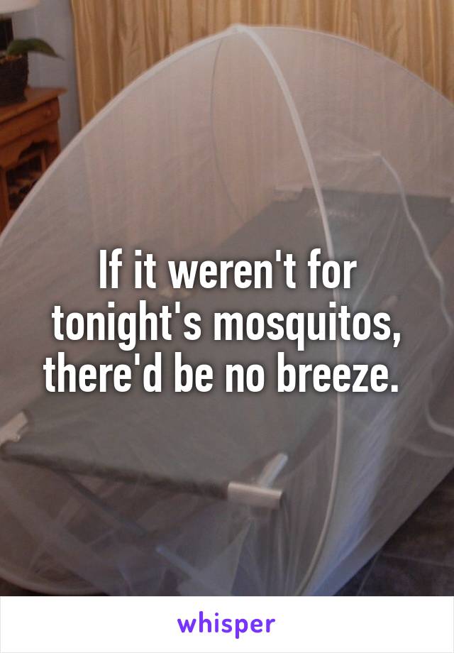 If it weren't for tonight's mosquitos, there'd be no breeze. 