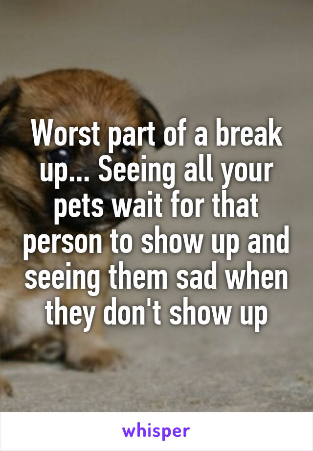 Worst part of a break up... Seeing all your pets wait for that person to show up and seeing them sad when they don't show up