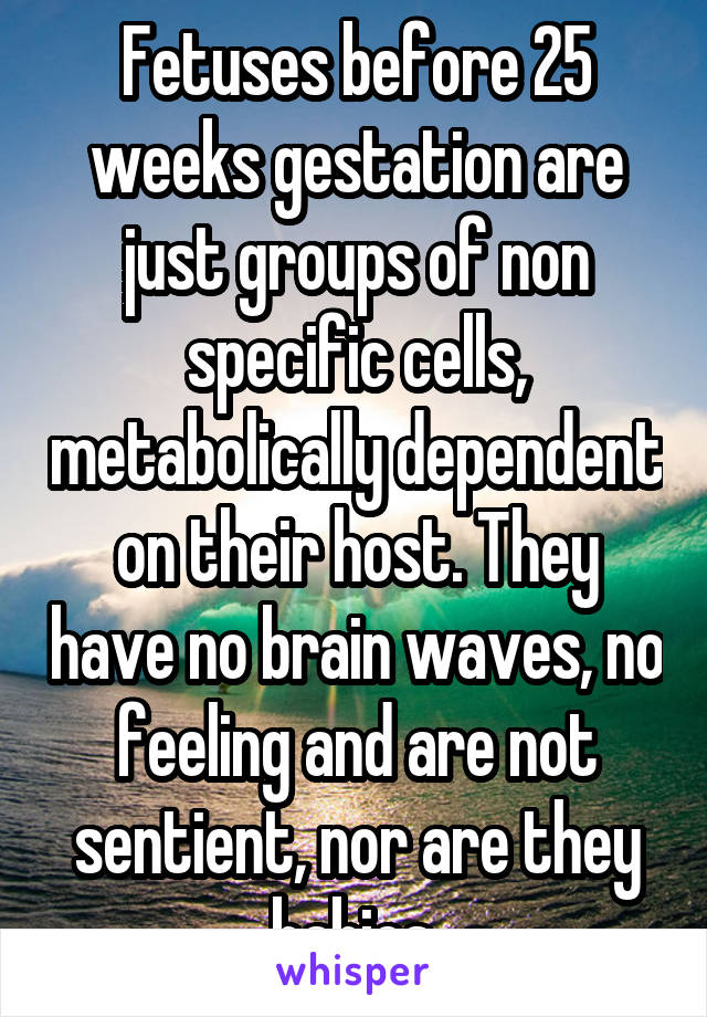 Fetuses before 25 weeks gestation are just groups of non specific cells, metabolically dependent on their host. They have no brain waves, no feeling and are not sentient, nor are they babies.