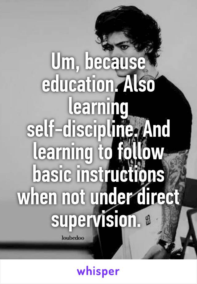 Um, because education. Also learning self-discipline. And learning to follow basic instructions when not under direct supervision. 