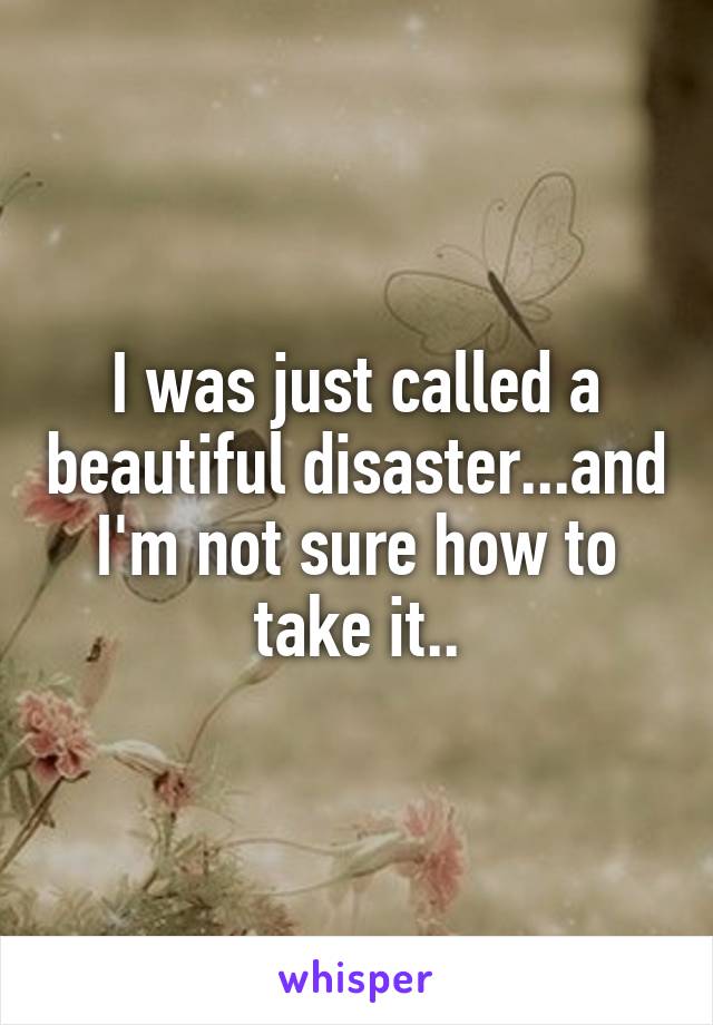 I was just called a beautiful disaster...and I'm not sure how to take it..