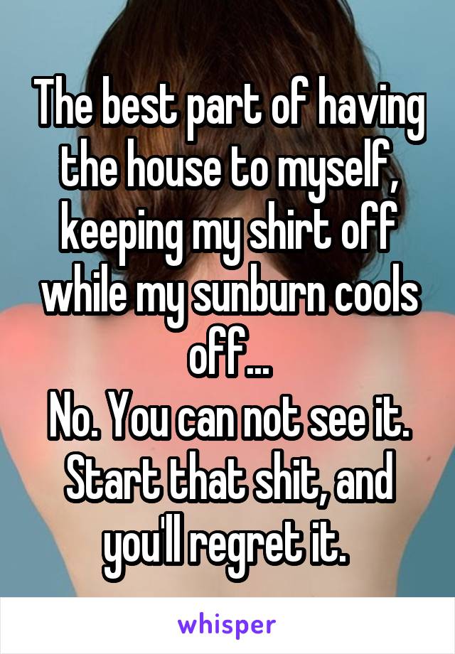 The best part of having the house to myself, keeping my shirt off while my sunburn cools off...
No. You can not see it. Start that shit, and you'll regret it. 