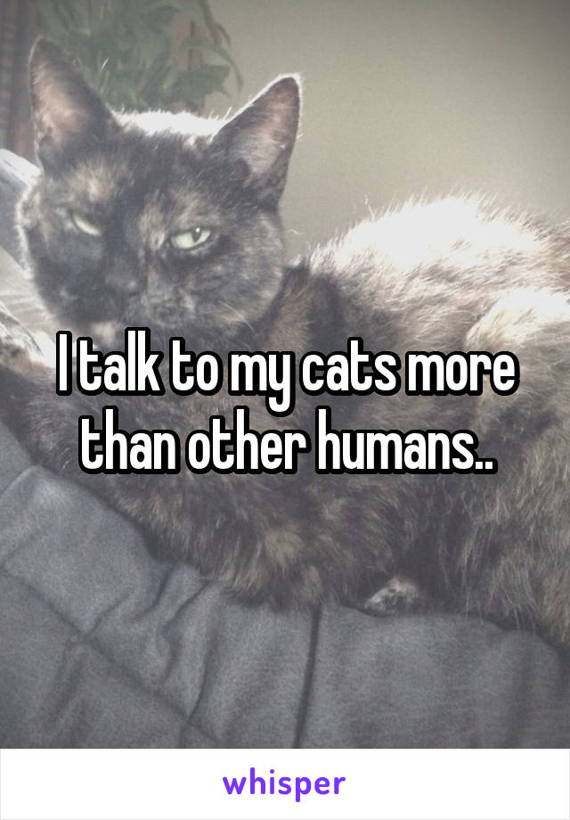 I talk to my cats more than other humans..