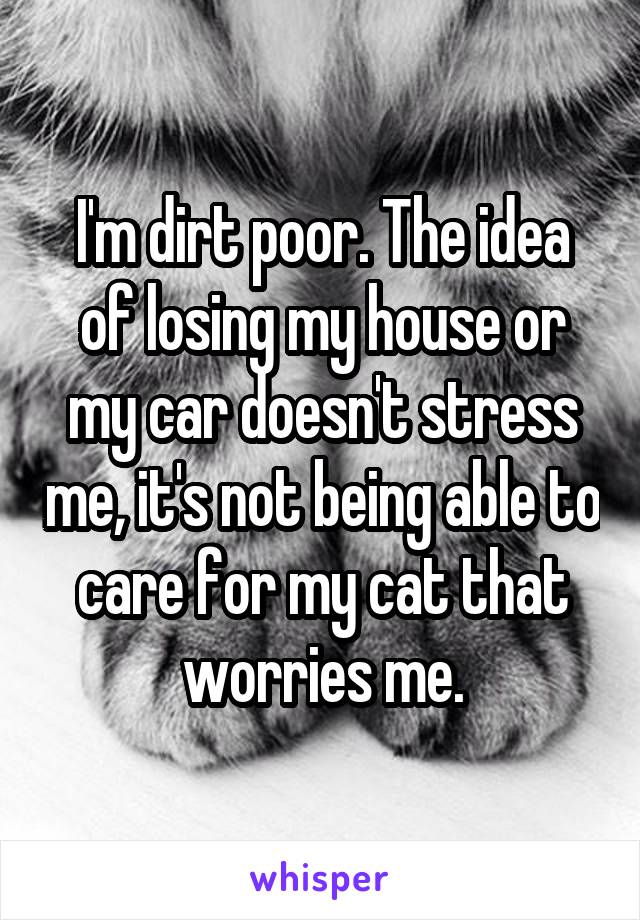 I'm dirt poor. The idea of losing my house or my car doesn't stress me, it's not being able to care for my cat that worries me.