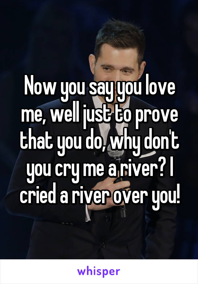 Now you say you love me, well just to prove that you do, why don't you cry me a river? I cried a river over you!