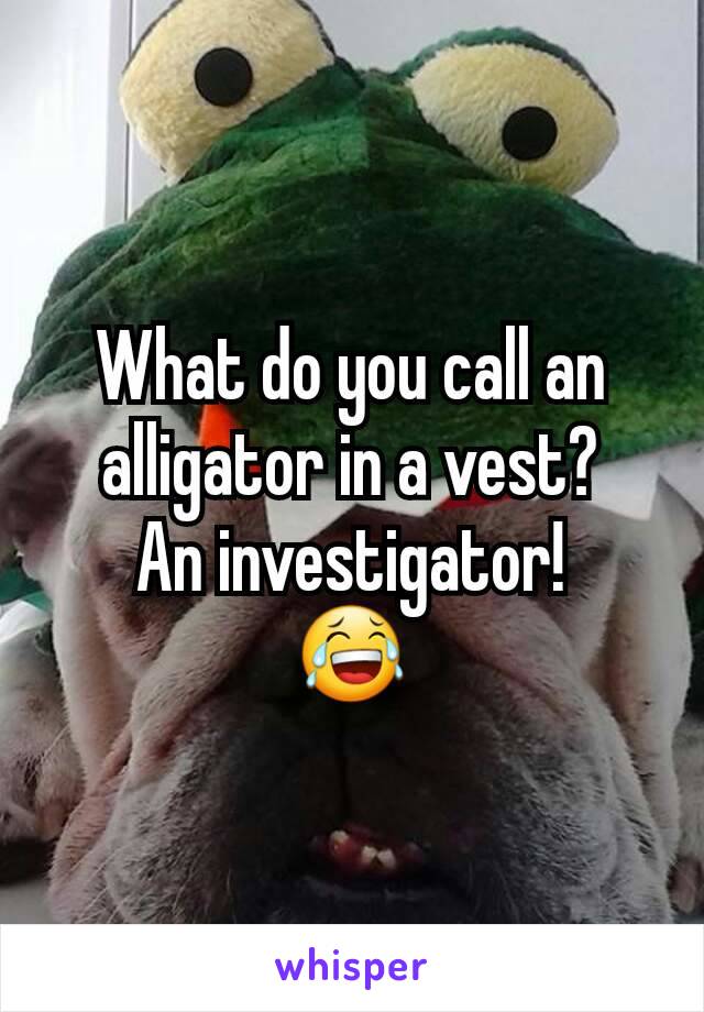 What do you call an alligator in a vest?
An investigator!
😂