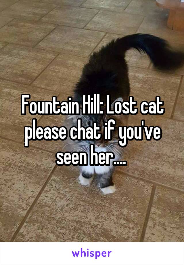 Fountain Hill: Lost cat please chat if you've seen her.... 