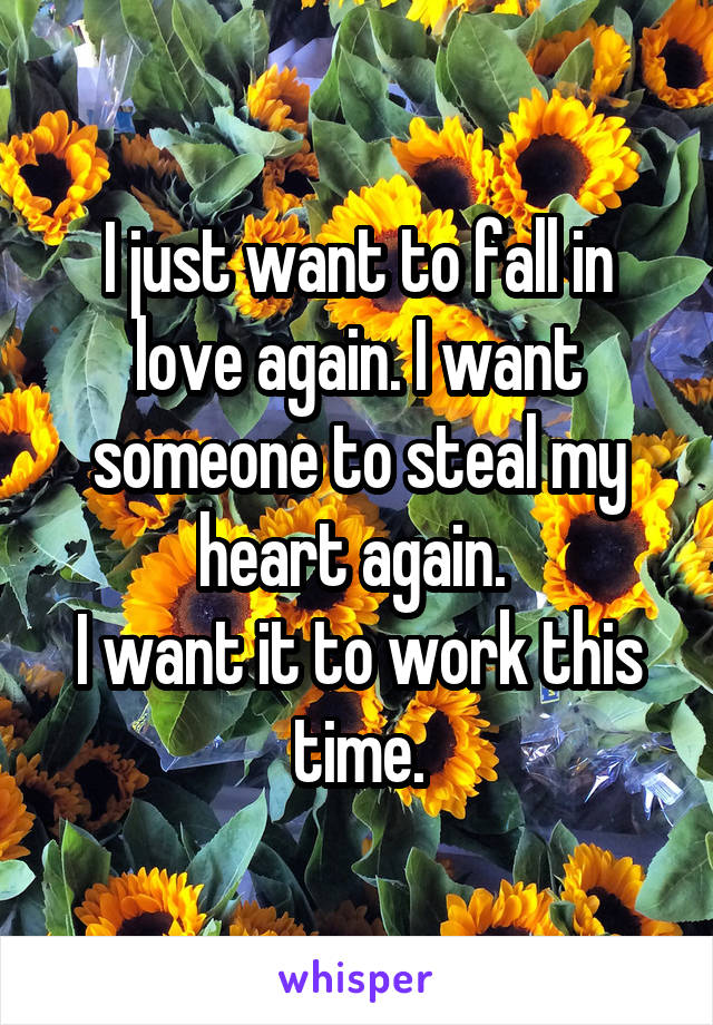 I just want to fall in love again. I want someone to steal my heart again. 
I want it to work this time.