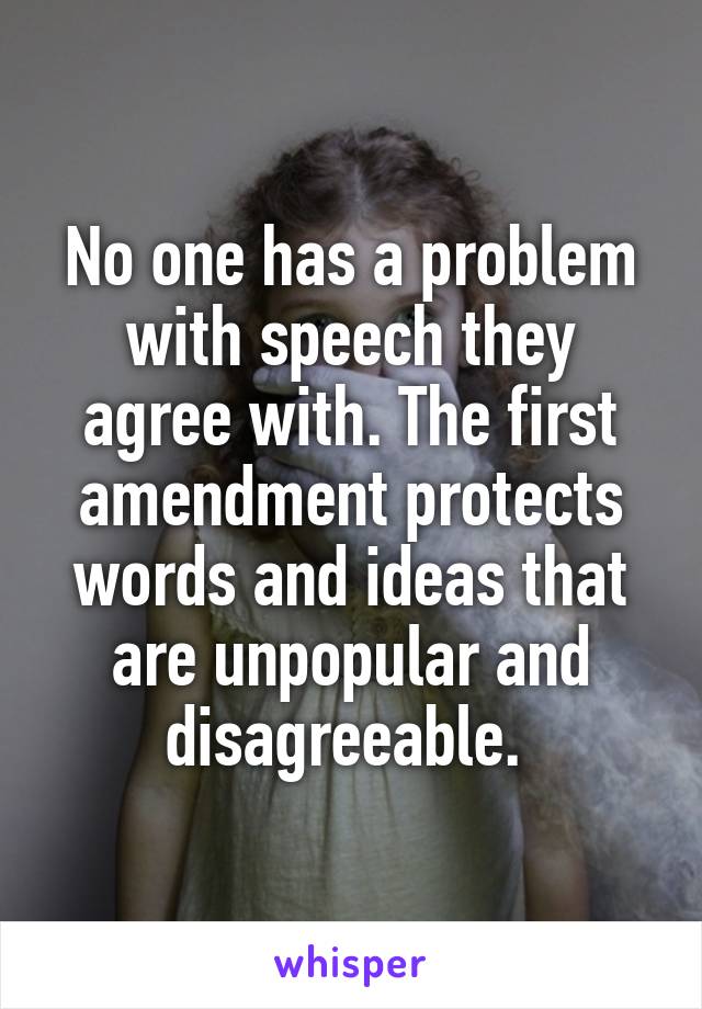 No one has a problem with speech they agree with. The first amendment protects words and ideas that are unpopular and disagreeable. 