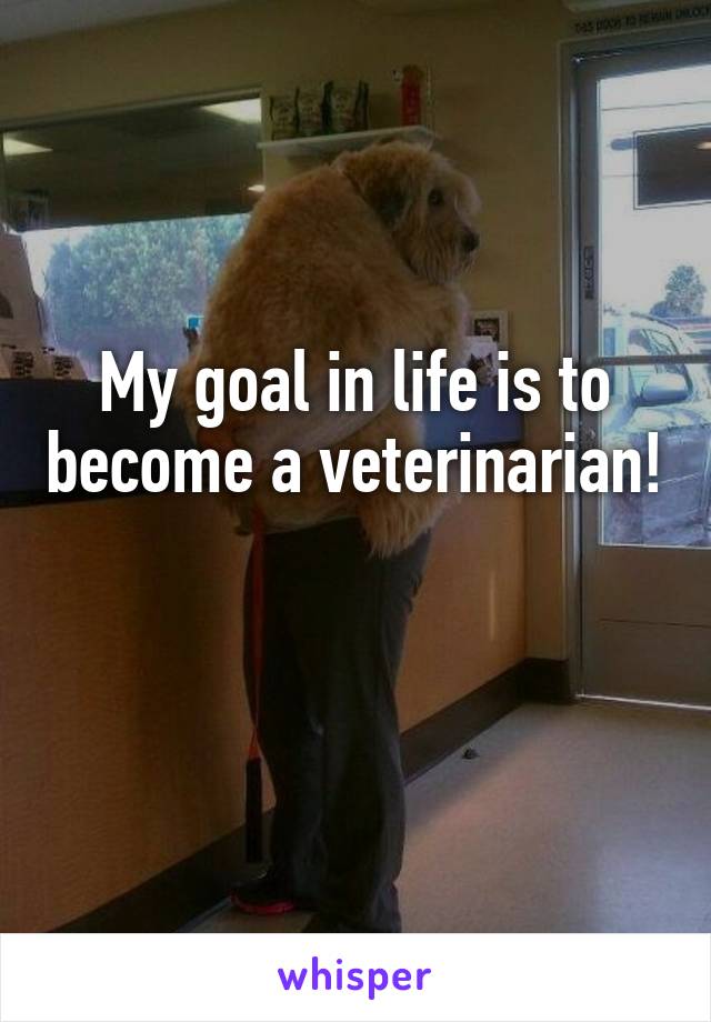 My goal in life is to become a veterinarian! 
