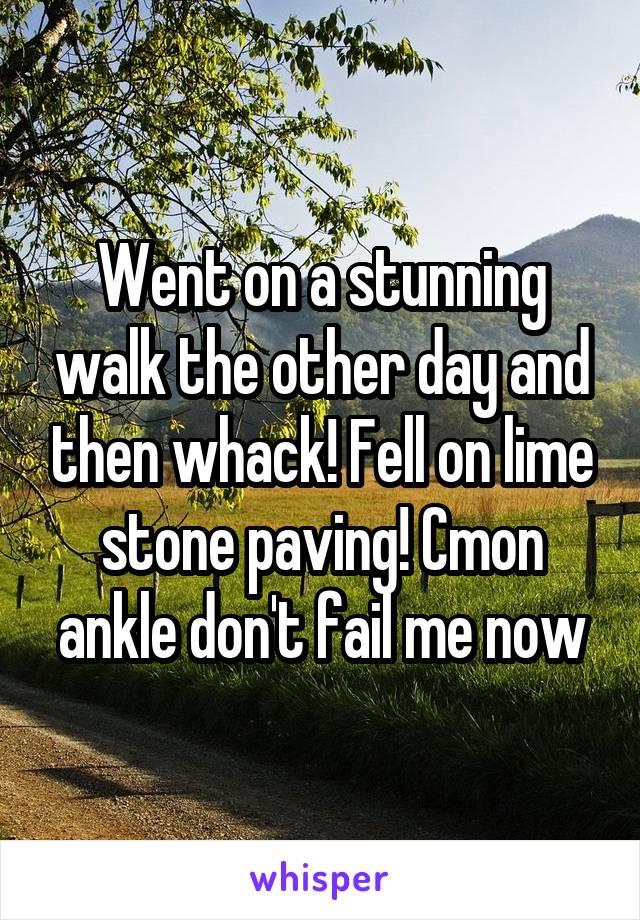 Went on a stunning walk the other day and then whack! Fell on lime stone paving! Cmon ankle don't fail me now