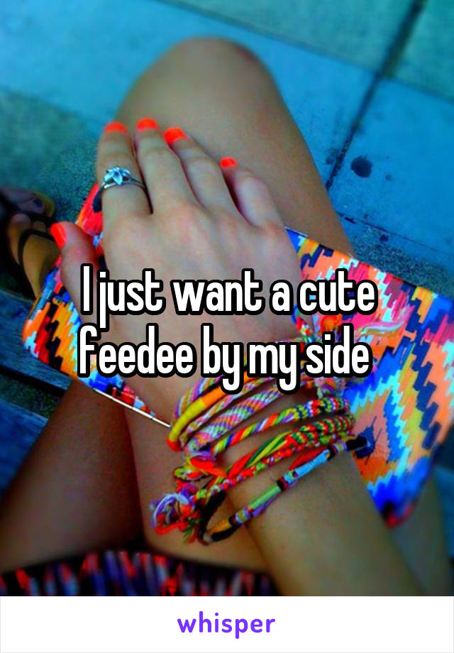 I just want a cute feedee by my side 