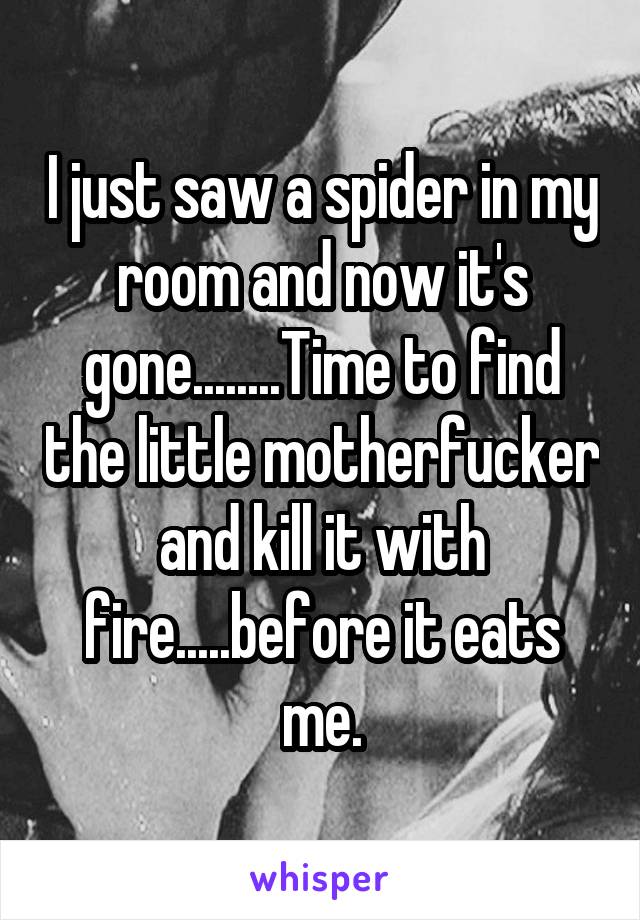 I just saw a spider in my room and now it's gone........Time to find the little motherfucker and kill it with fire.....before it eats me.