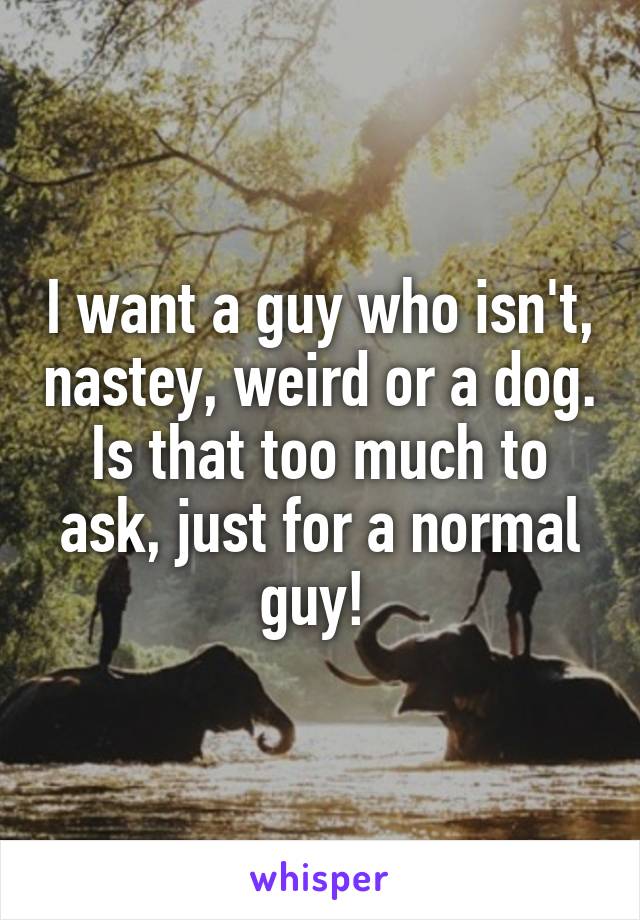 I want a guy who isn't, nastey, weird or a dog. Is that too much to ask, just for a normal guy! 