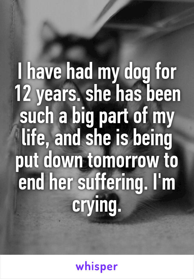 I have had my dog for 12 years. she has been such a big part of my life, and she is being put down tomorrow to end her suffering. I'm crying.